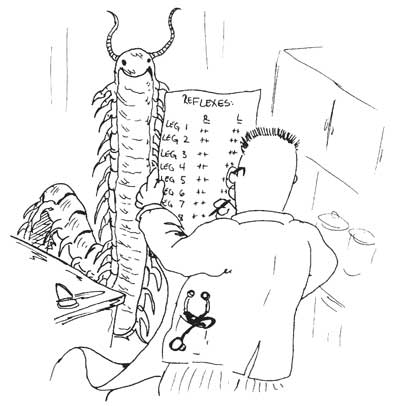 How To Study Neuroanatomy - MedMaster