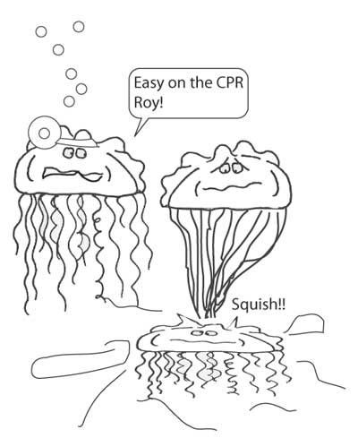 Medical Curriculum In The First Two Years Of Med School - MedMaster