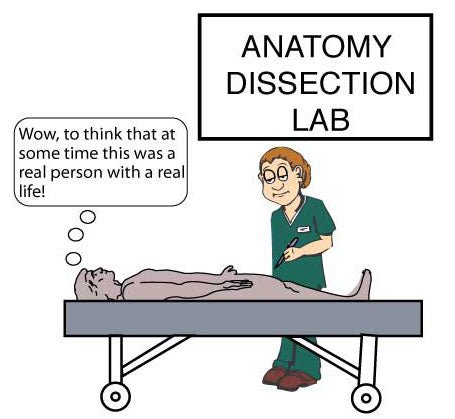 Memory Techniques for Med School #2 Visualization - MedMaster