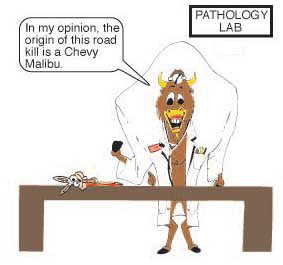 Memory Techniques for Med School #4 Substitute Words and Pictures - MedMaster