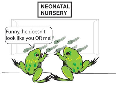 The Lowly Medical Student - MedMaster