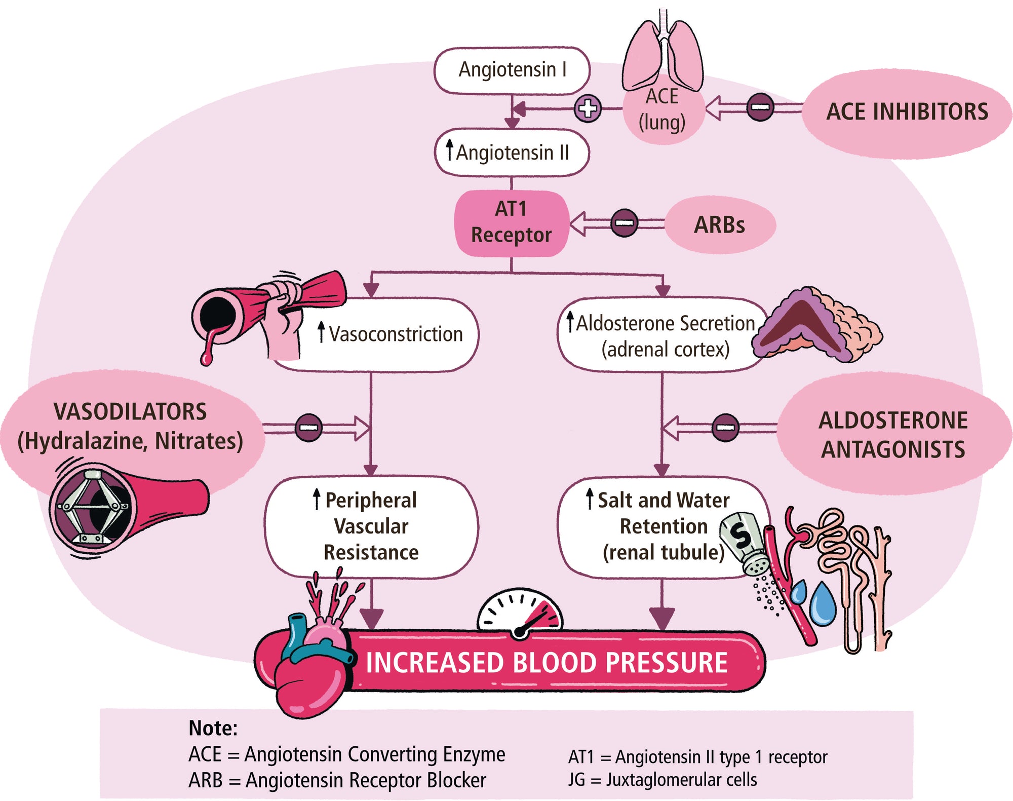 Clinical Pathophysiology Made Ridiculously Simple