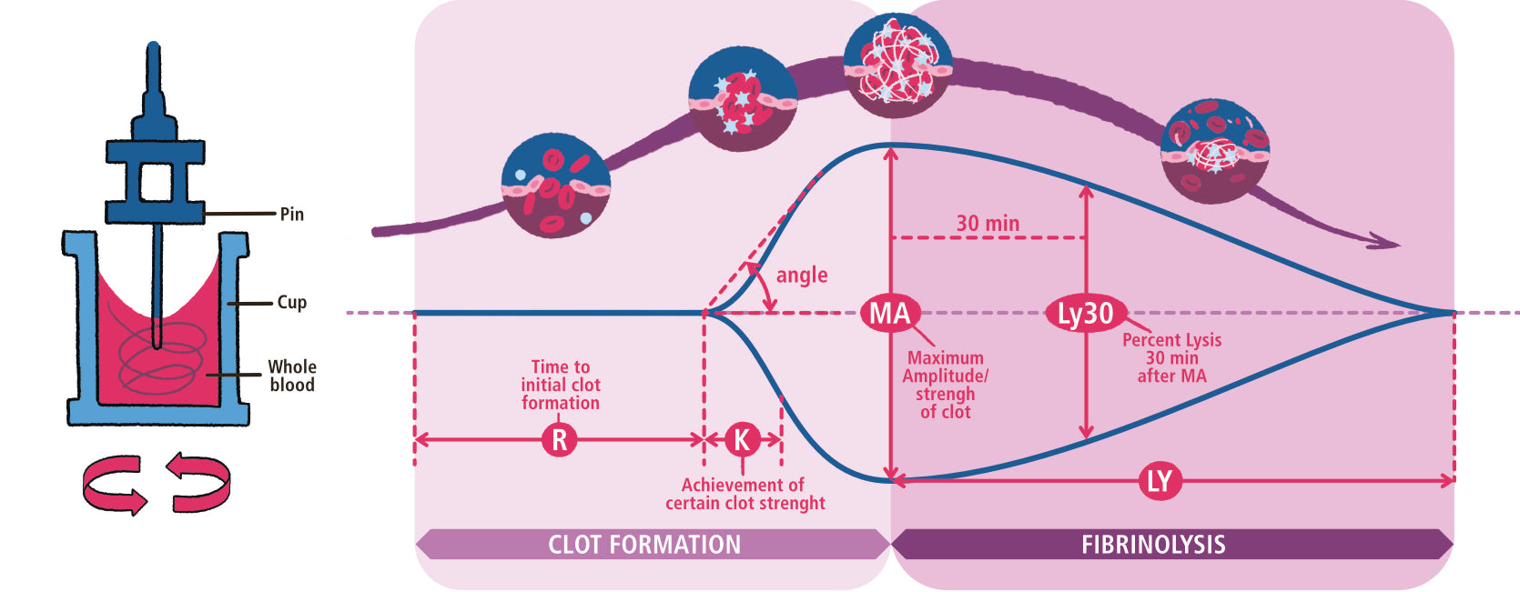 Critical Care and Hospitalist Medicine Made Ridiculously Simple