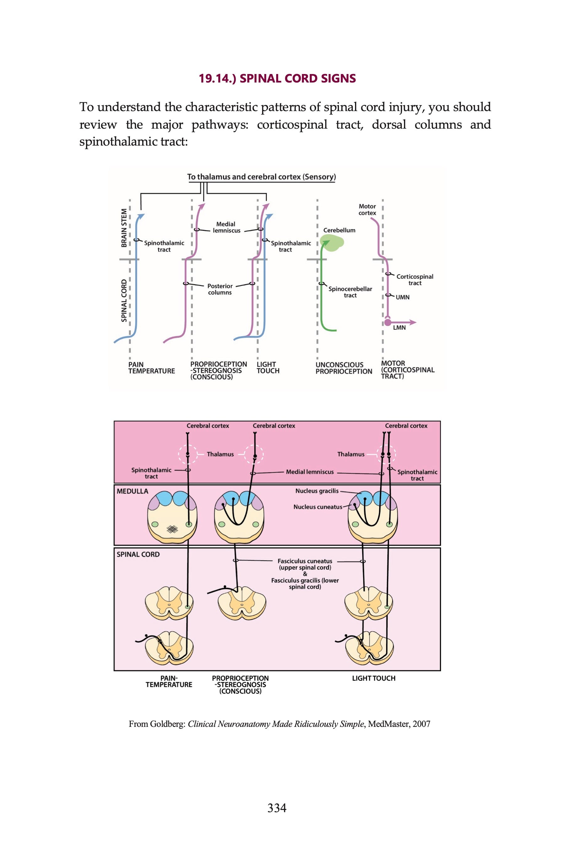 USMLE Step 2 Made Ridiculously Simple, Color Edition