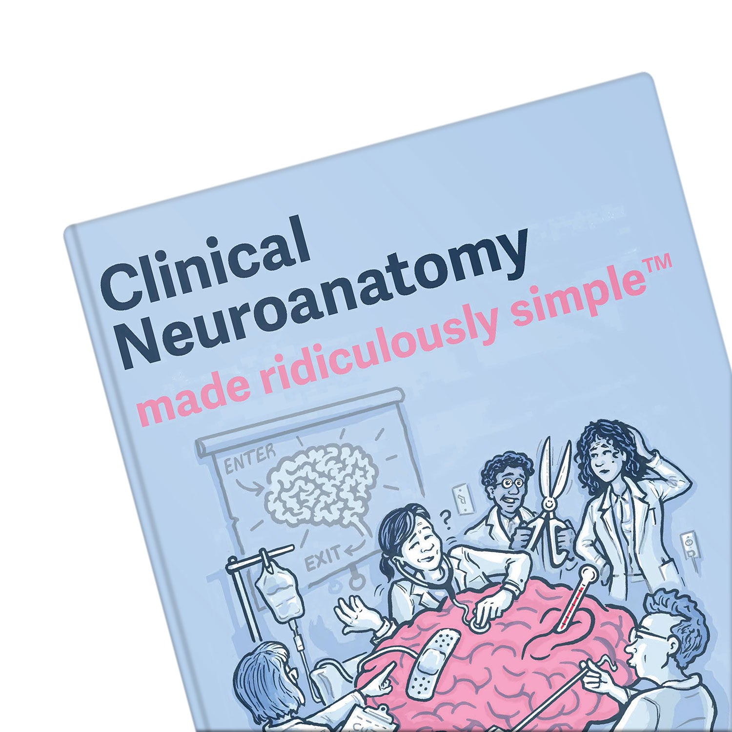 Clinical Neuroanatomy Made Ridiculously Simple