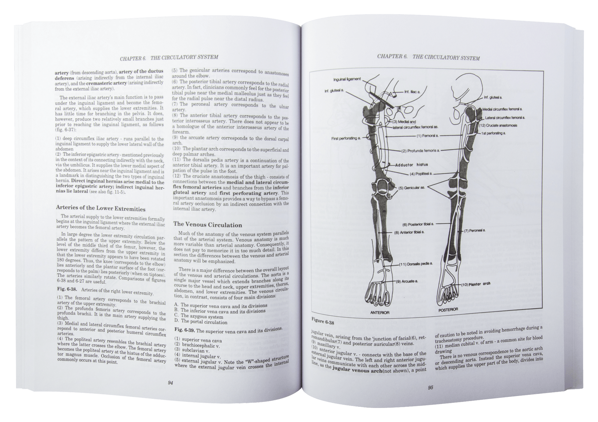 Clinical Anatomy Made Ridiculously Simple - MedMaster