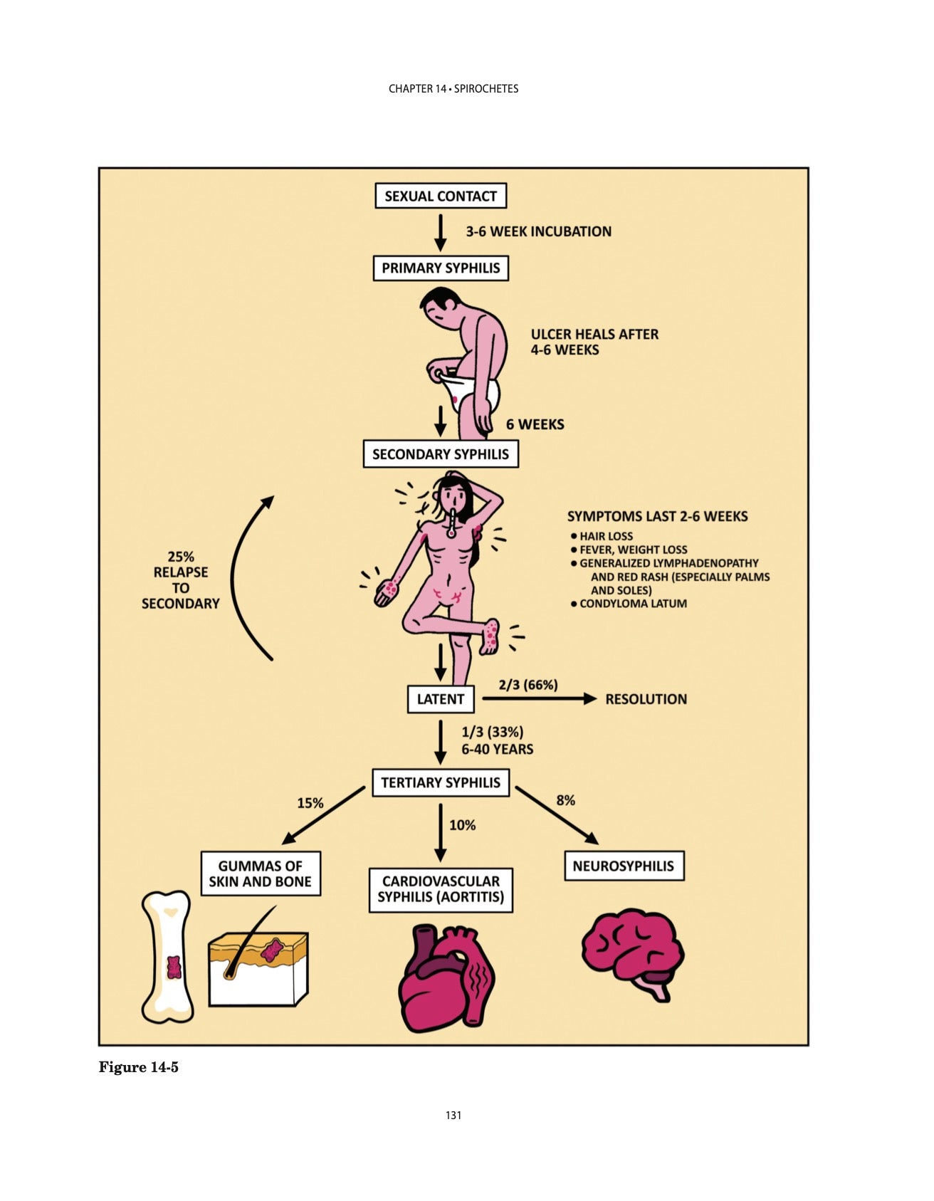 Clinical Microbiology Made Ridiculously Simple - MedMaster