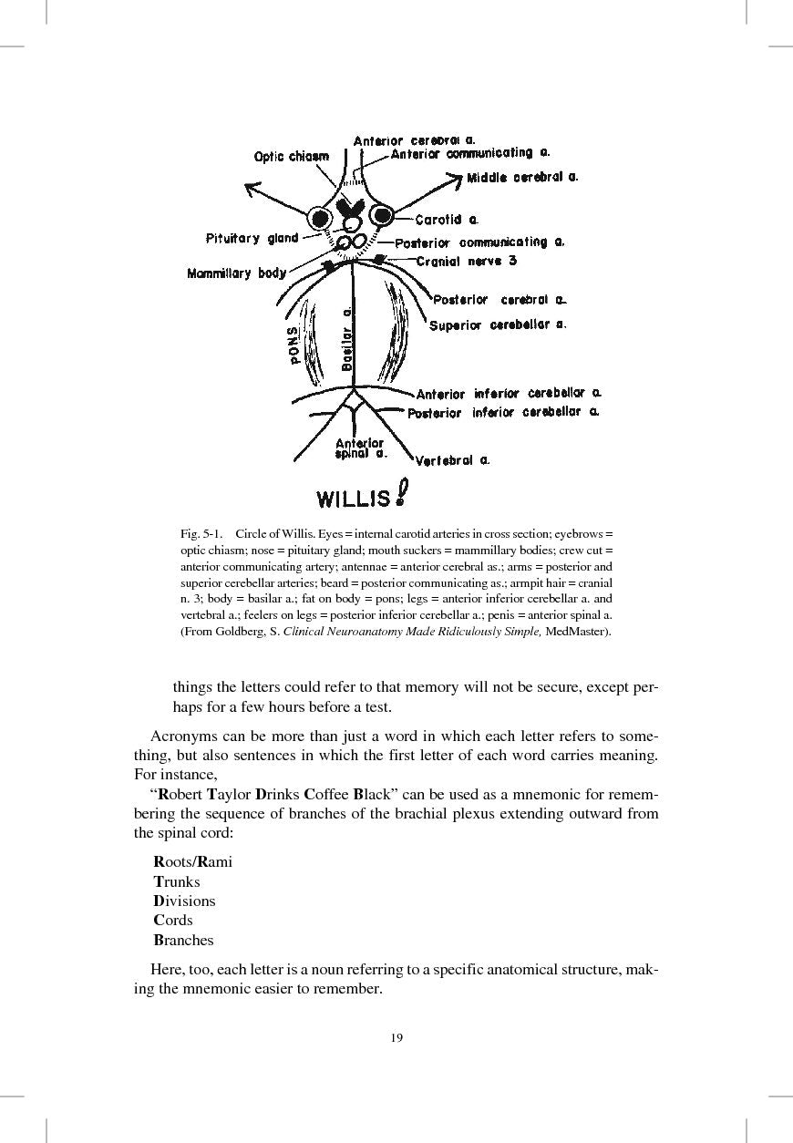 Med School Made Ridiculously Simple - MedMaster