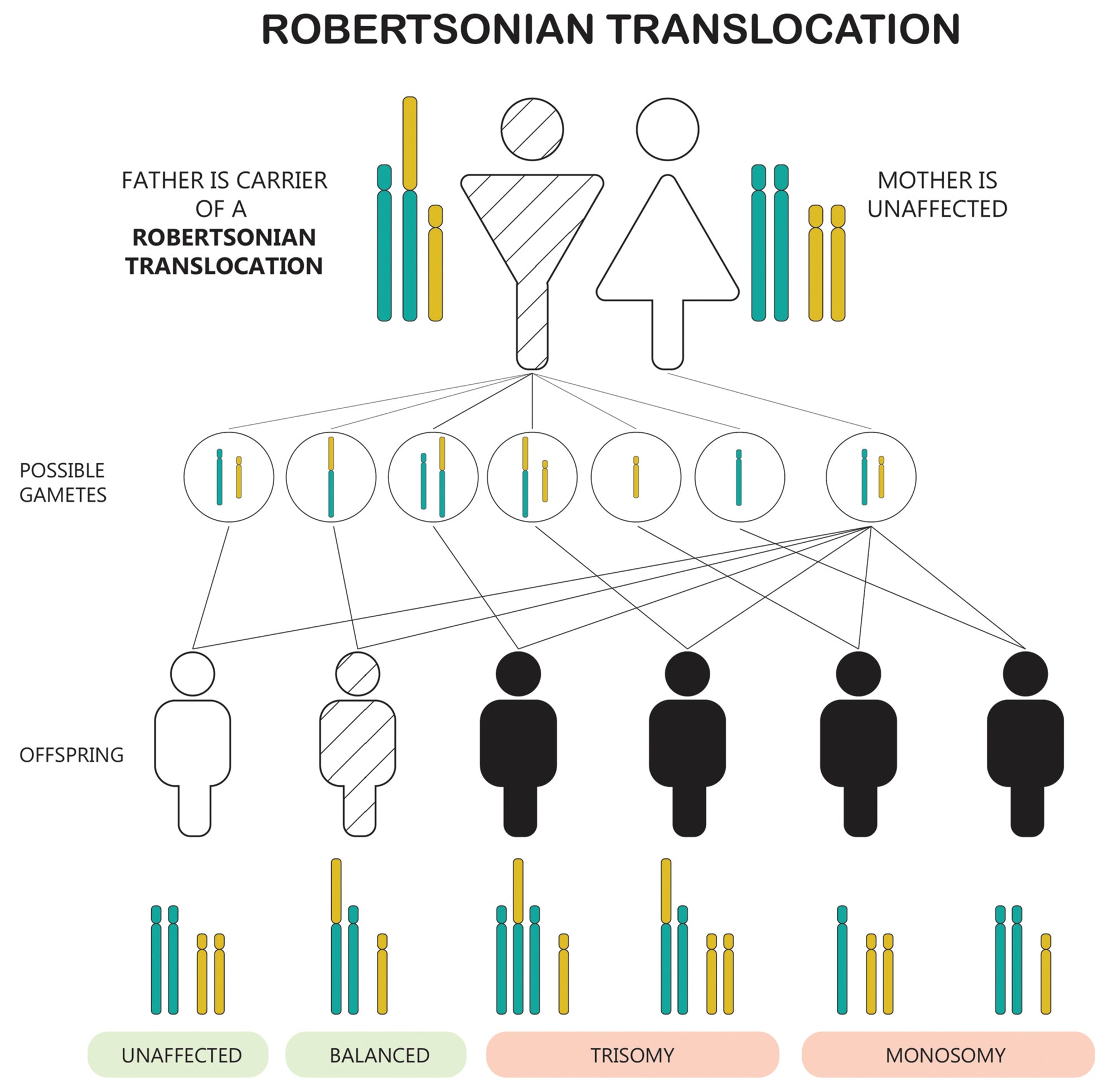 Clinical Genetics Made Ridiculously Simple