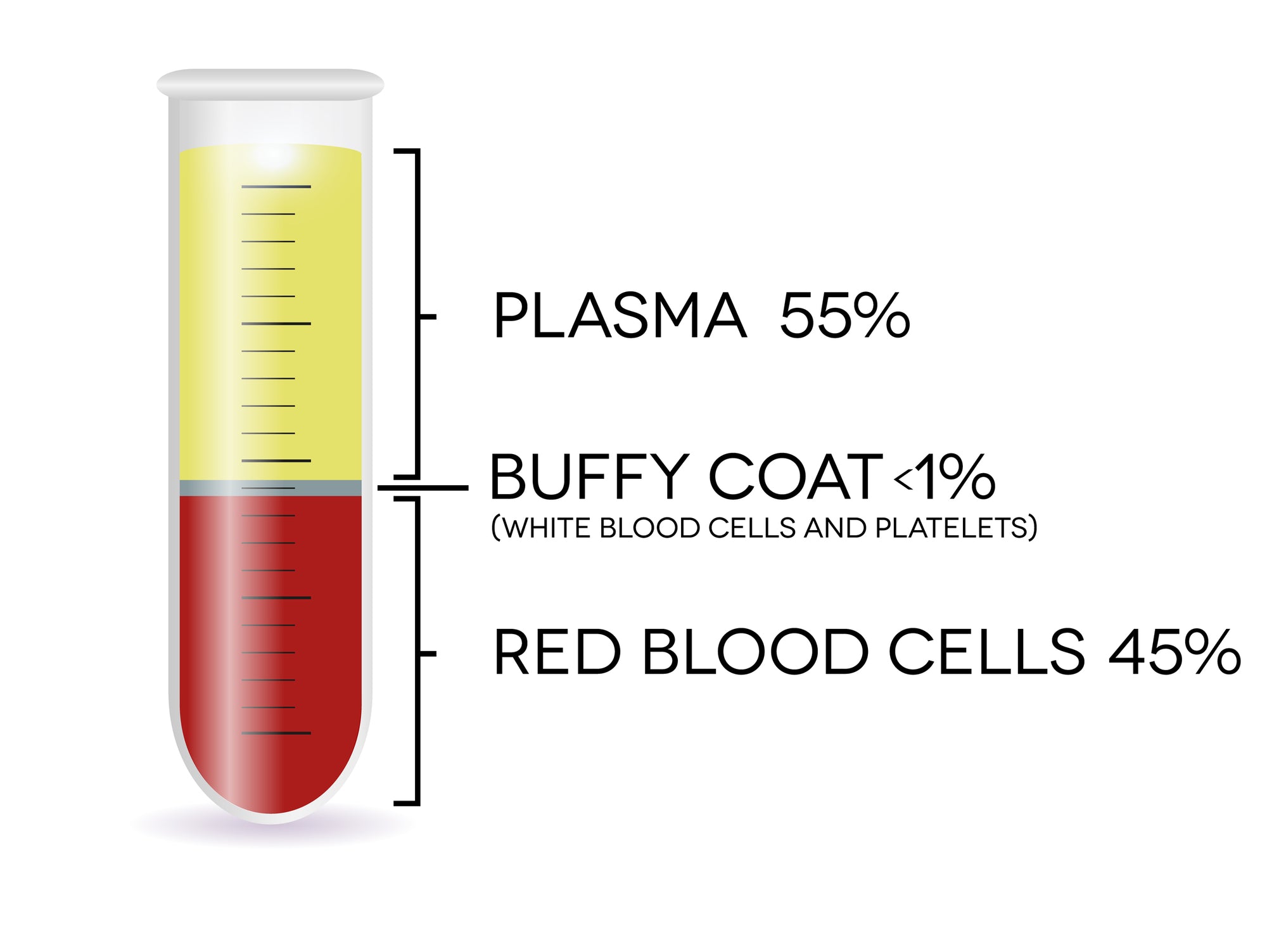 Routine Lab Values Made Ridiculously Simple