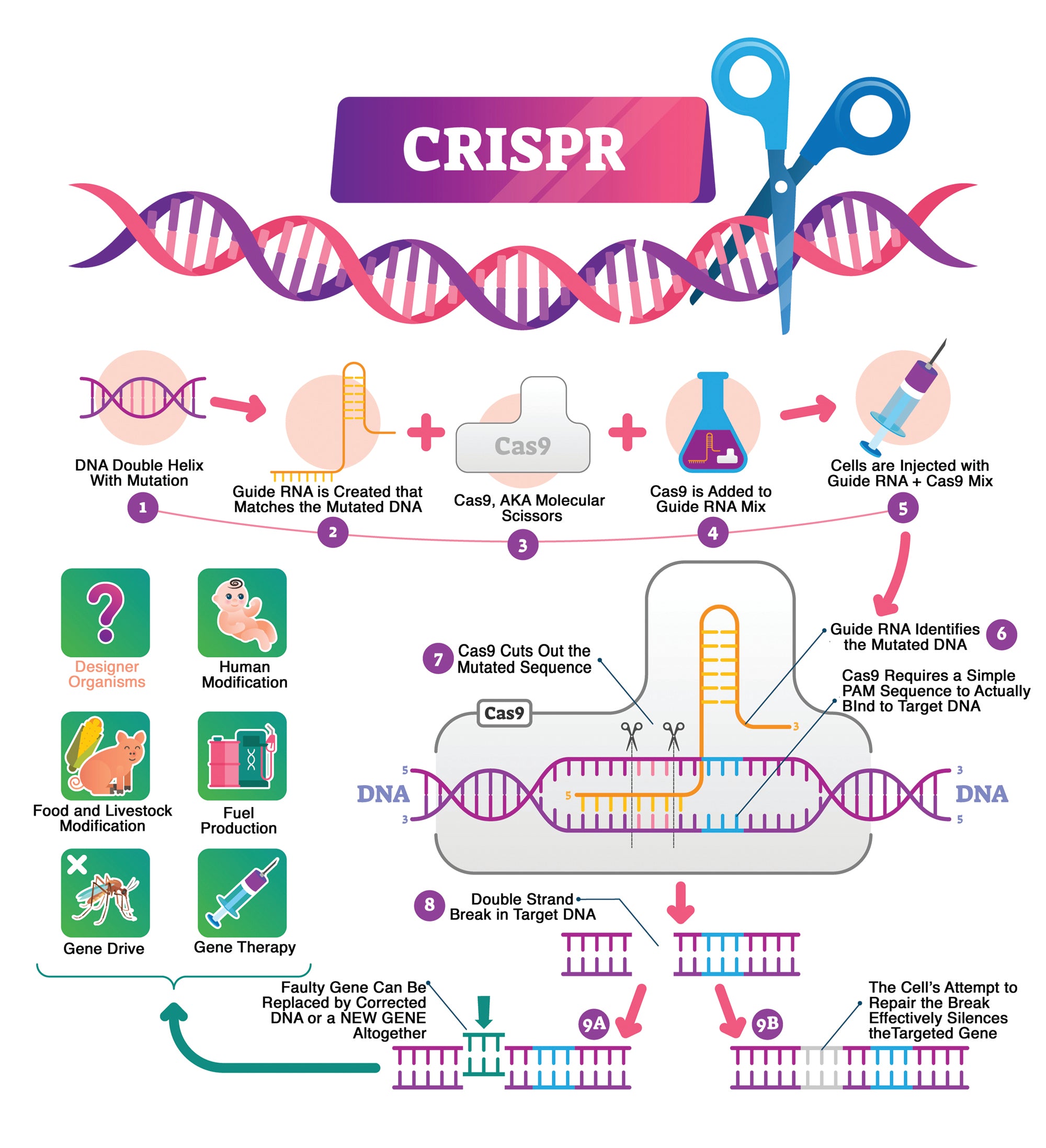 Clinical Genetics Made Ridiculously Simple