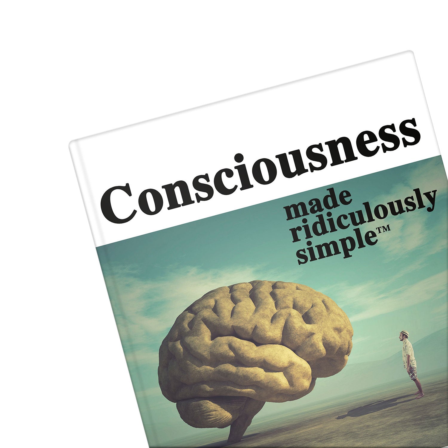 Consciousness Made Ridiculously Simple: A Serious Resolution of the Mind/Body Problem