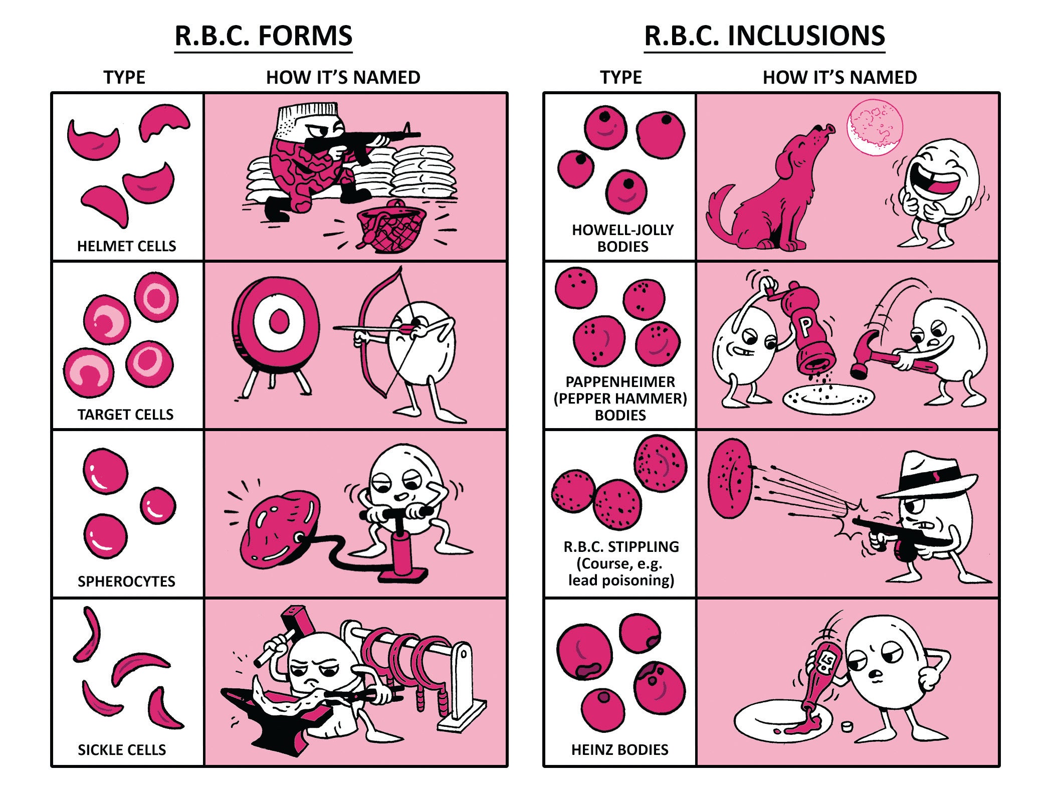 USMLE Step 1 Made Ridiculously Simple, Color Edition – MedMaster
