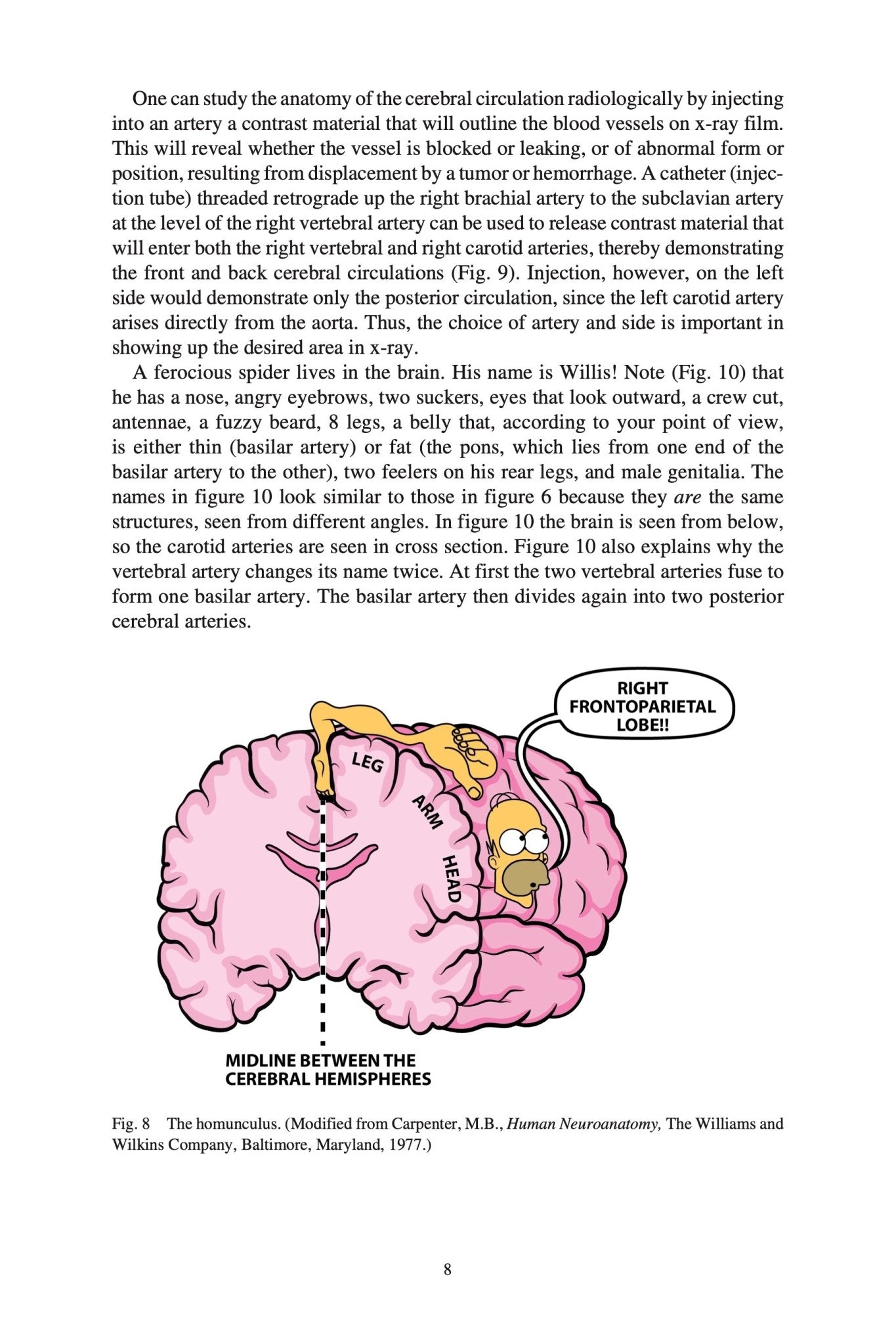 Clinical Neuroanatomy Made Ridiculously Simple – MedMaster
